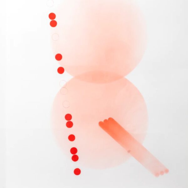 Afterimage 2, Hae Yoon