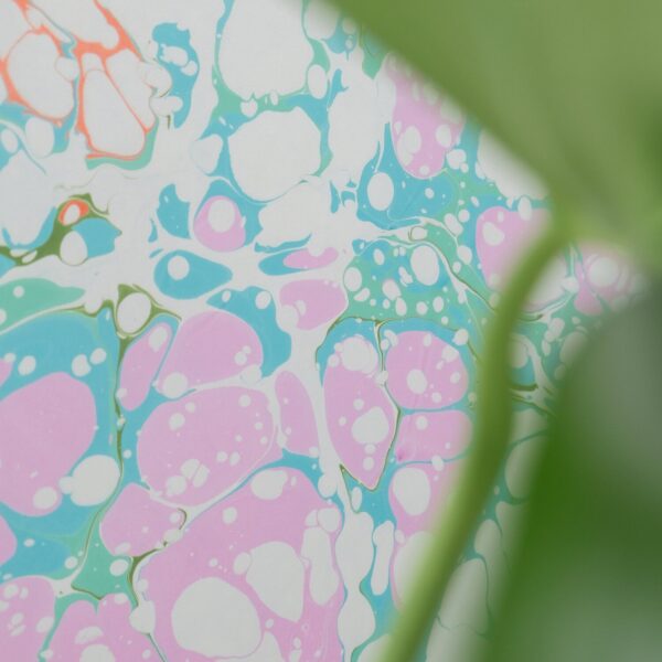 Caryota Artwork, Apen Apen - Bilde 2