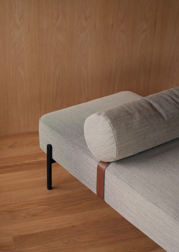 Daybe daybed, Northern - Bilde 2