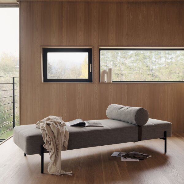 Daybe daybed, Northern