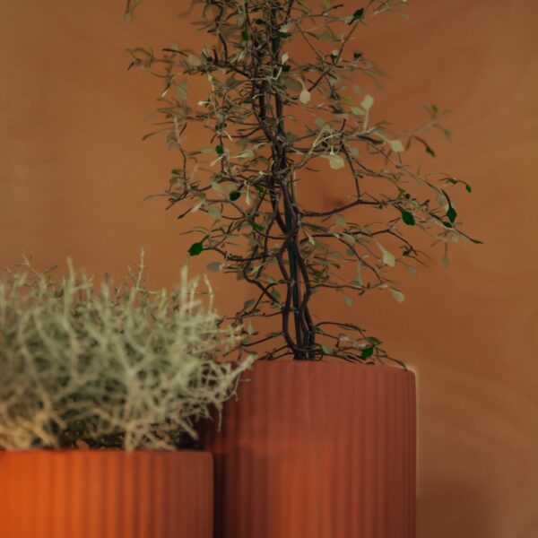 Klorofyll Set 01 natural terracotta, Elementa - Bilde 2