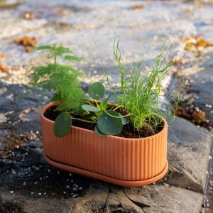 Elementa_EmmaSukalic Klorofyll Jardinaire - Natural terracotta, Elementa
