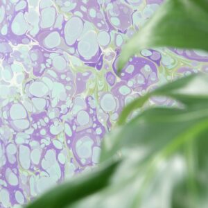 Ficus Artwork, Apen Apen
