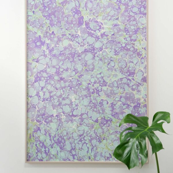 Ficus Artwork, Apen Apen - Bilde 2
