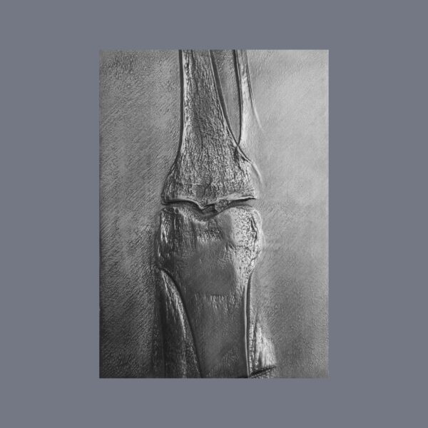 Genu, Pernille Sandberg - price on request - Bilde 2