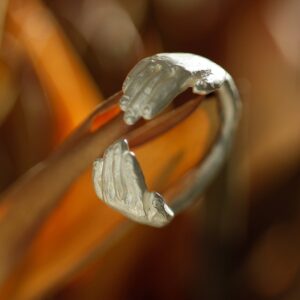 A Hug – Ring, Ying Chu