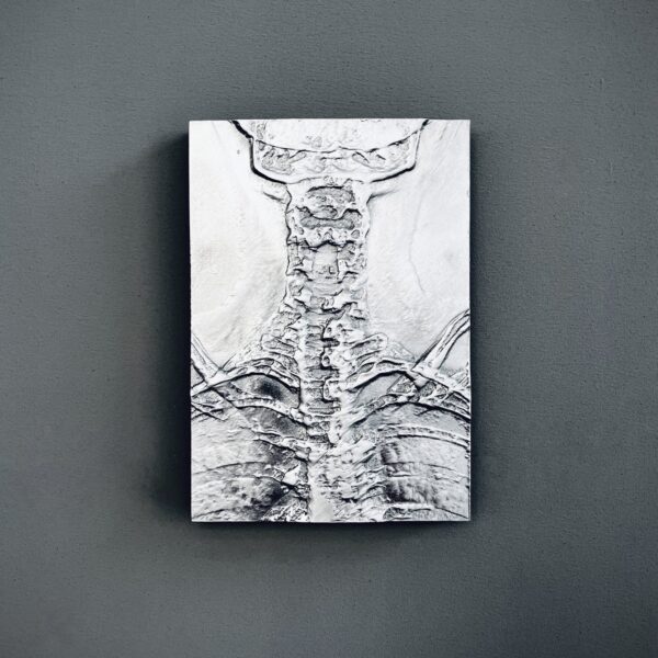Pectus, Pernille Sandberg - price on request - Bilde 4