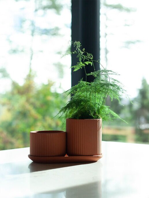 Klorofyll Set 01 natural terracotta, Elementa