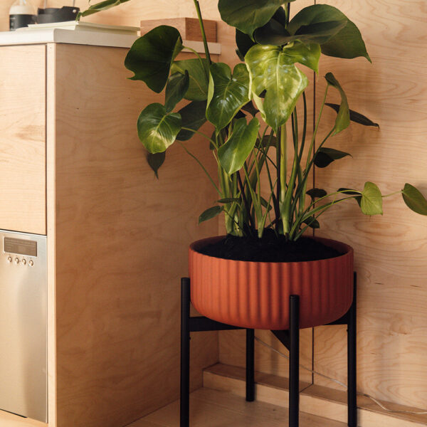 Klorofyll Medium Base,  Low Pot Terracotta Concrete, Elementa - Bilde 2