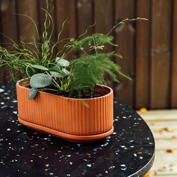 Klorofyll Jardinaire - Natural terracotta, Elementa - Bilde 2