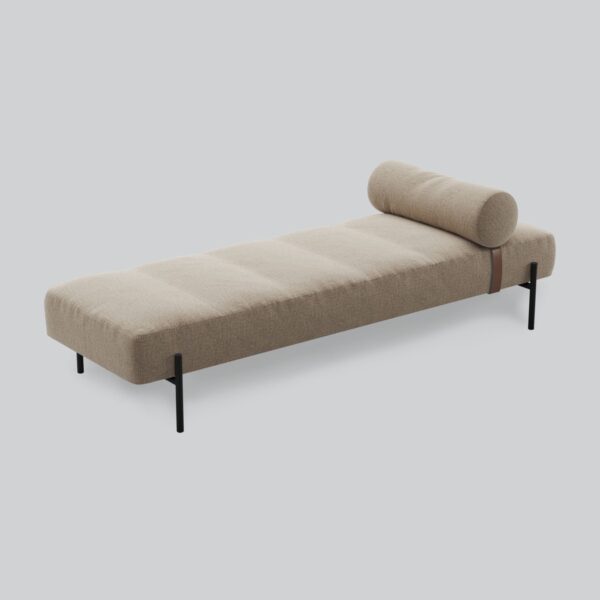 Daybe daybed, Northern - Bilde 8