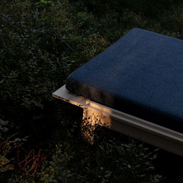Daybed, Jone Myking - Bilde 2