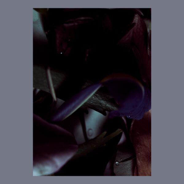 The Bloom of Arduous Clarity n°1, Pernille Sandberg - Bilde 3