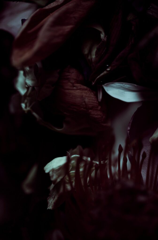 The Bloom of Arduous Clarity n°3, Pernille Sandberg