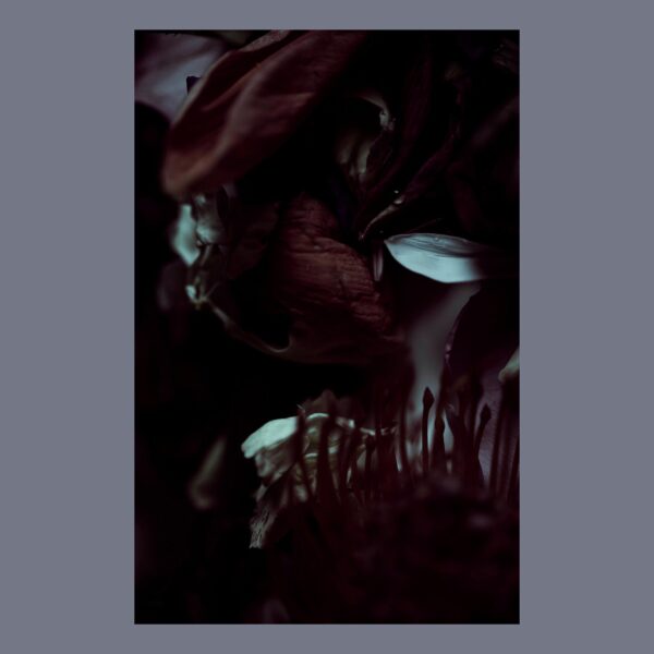 The Bloom of Arduous Clarity n°3, Pernille Sandberg - Bilde 2