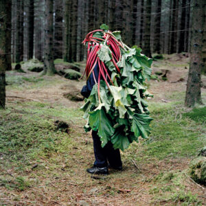 Eyes as Big as Plates # Astrid I (Norway 2011), Karoline Hjorth & Riitta Ikonen