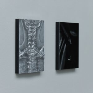 Pectus, Pernille Sandberg - price on request