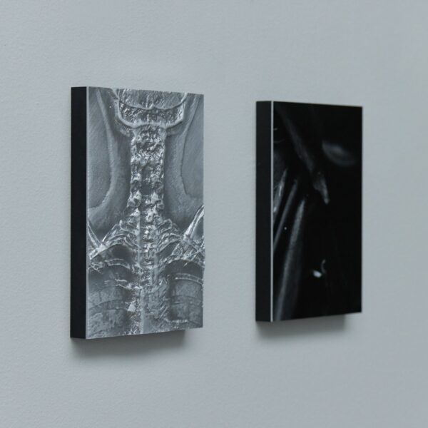 Pectus, Pernille Sandberg - price on request