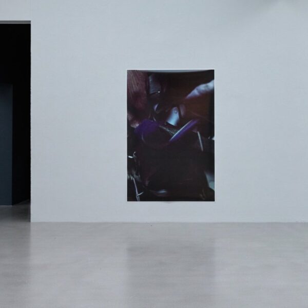 The Bloom of Arduous Clarity n°2, Pernille Sandberg - Bilde 2