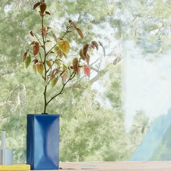 Into vase - Bilde 2