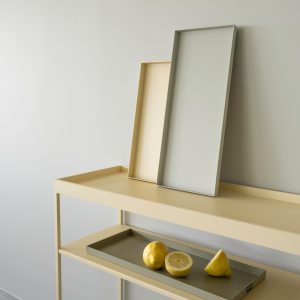 Dis tray