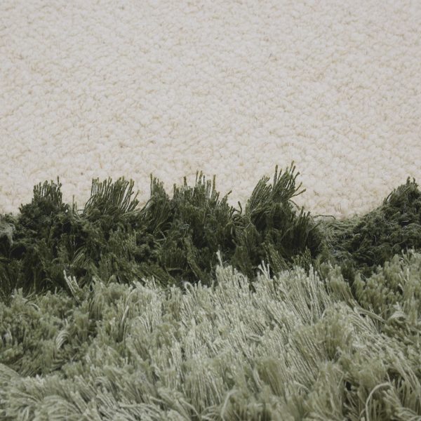 Vireo - Bilde 2