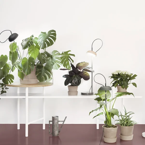 UN Freestanding Shelf with Table, Elementa - Bilde 2