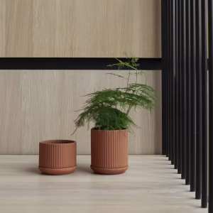 Klorofyll Pot