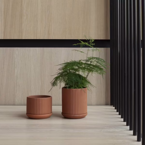 Klorofyll Pot