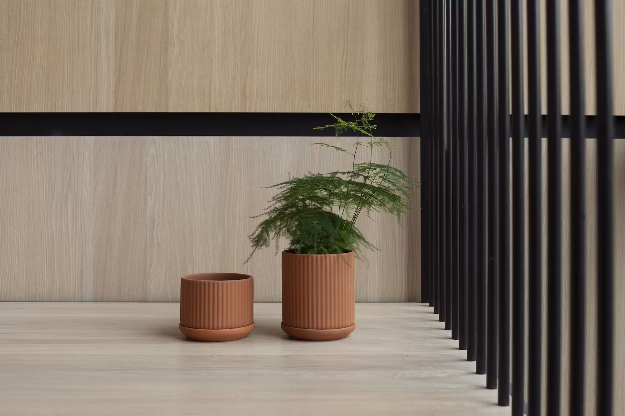 Klorofyll Pot