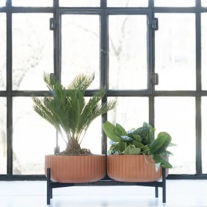 Klorofyll Double Low Base – 2 × Low Pot