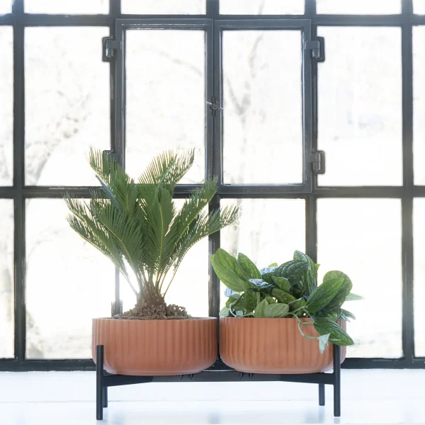 Klorofyll Double Low Base – 2 × Low Pot