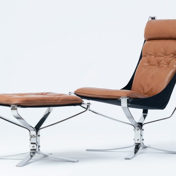 Falcon First - Bilde 9