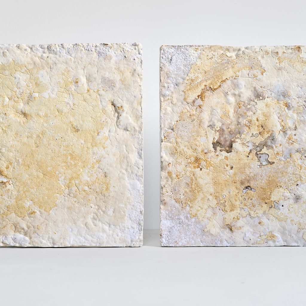 Acoustic panel of mycelium 40x40cm