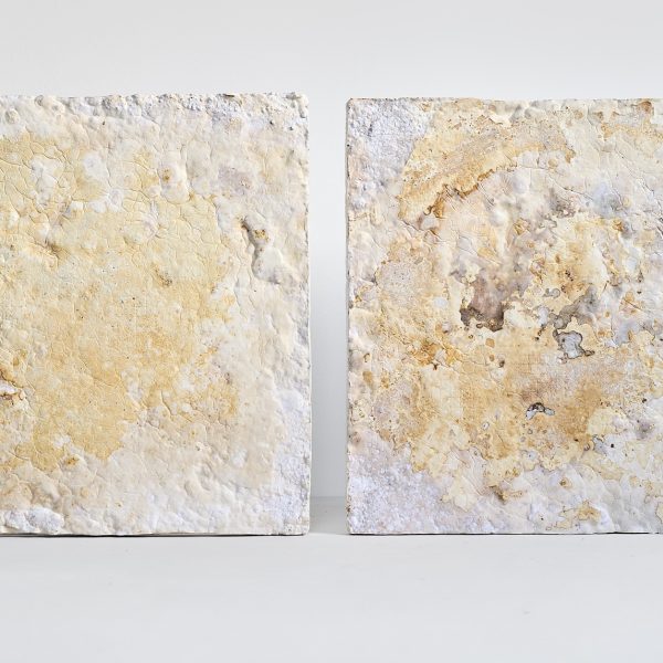 Akustikkpanel av mycelium