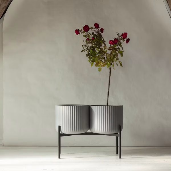 Klorofyll Double Medium Base + 2 x Medium Pot - Bilde 4