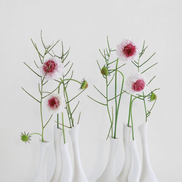 Dancer Vase