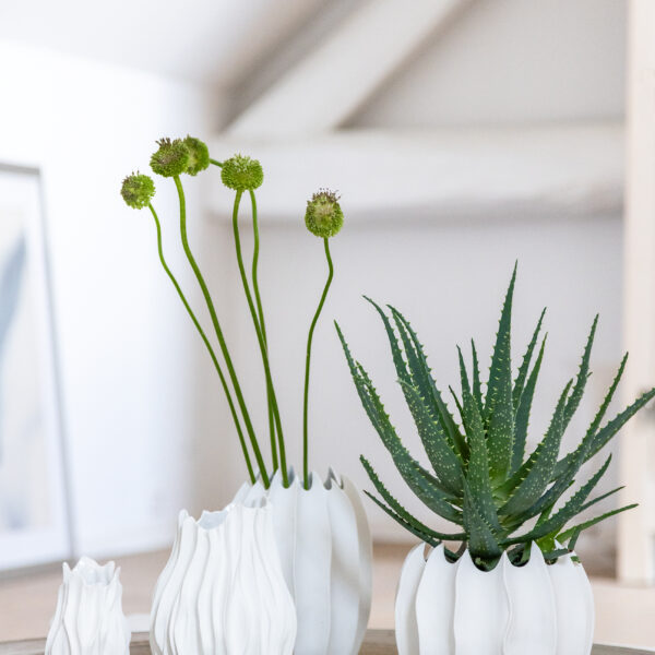Alva vase