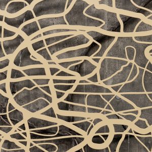 _F7A5669 Doodlewalk clupseup bilde