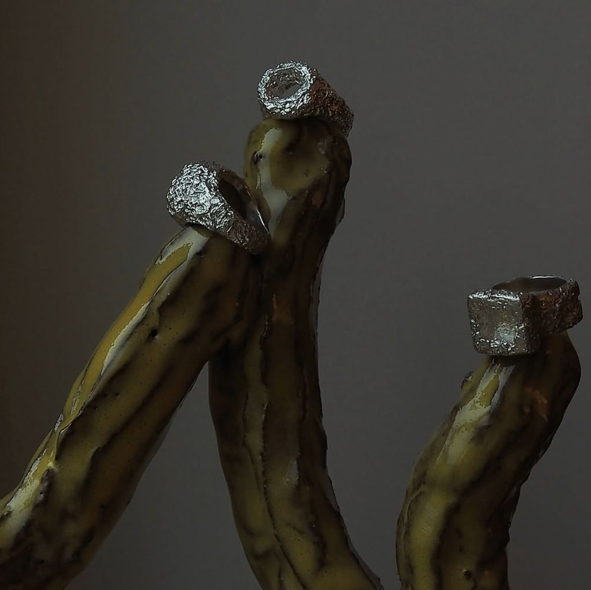 Rings by Ali Gallefoss