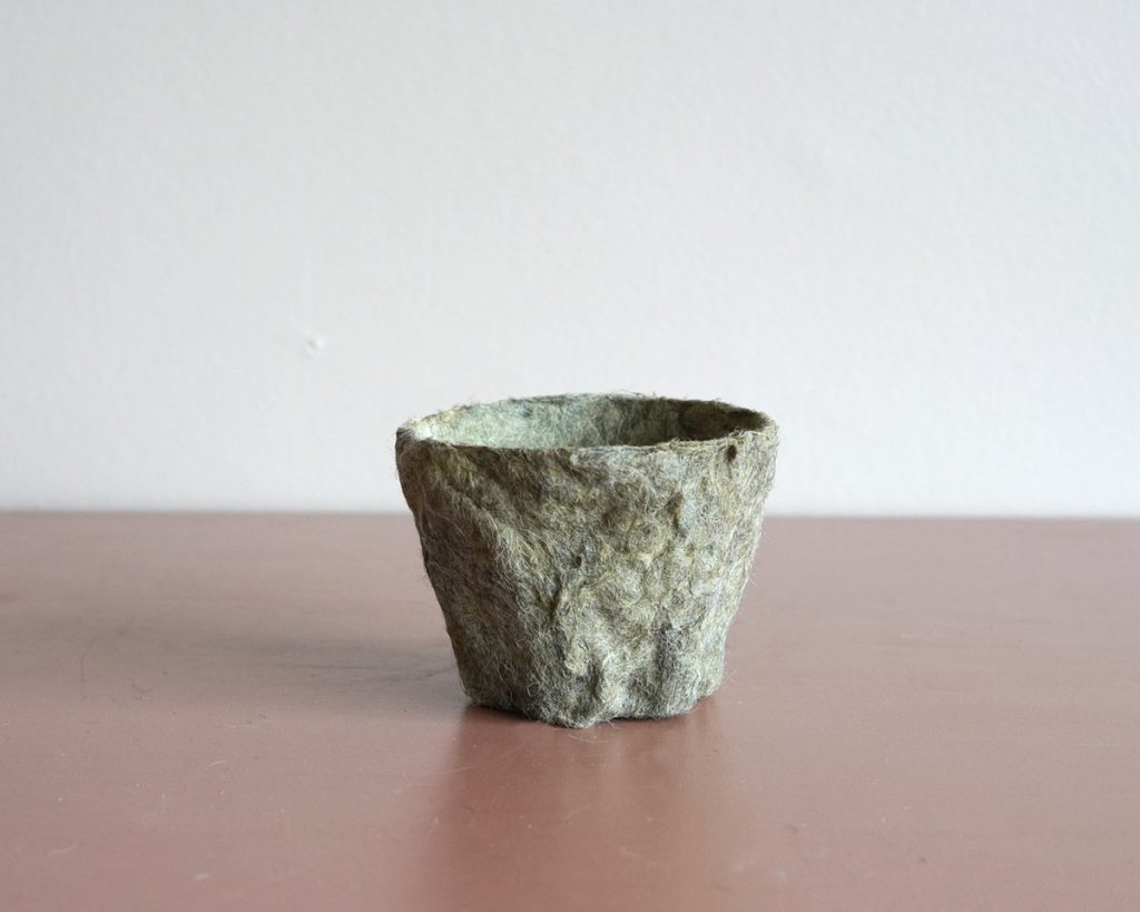 Woolly Grow pot from Bioregion Institute (small)