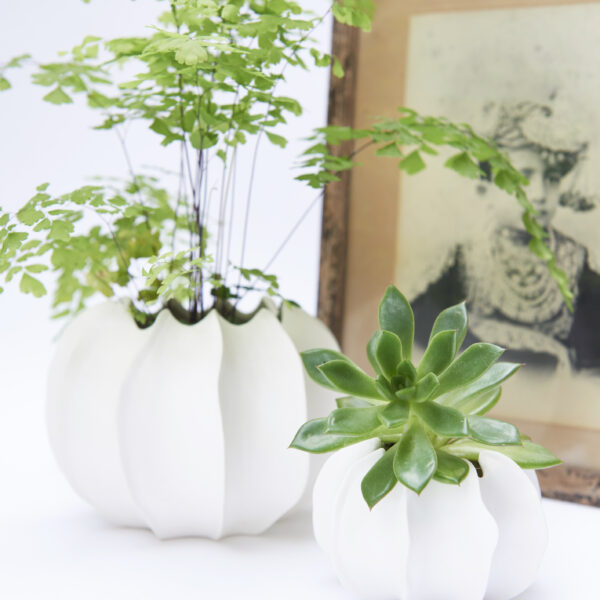 Vaya 1 vase
