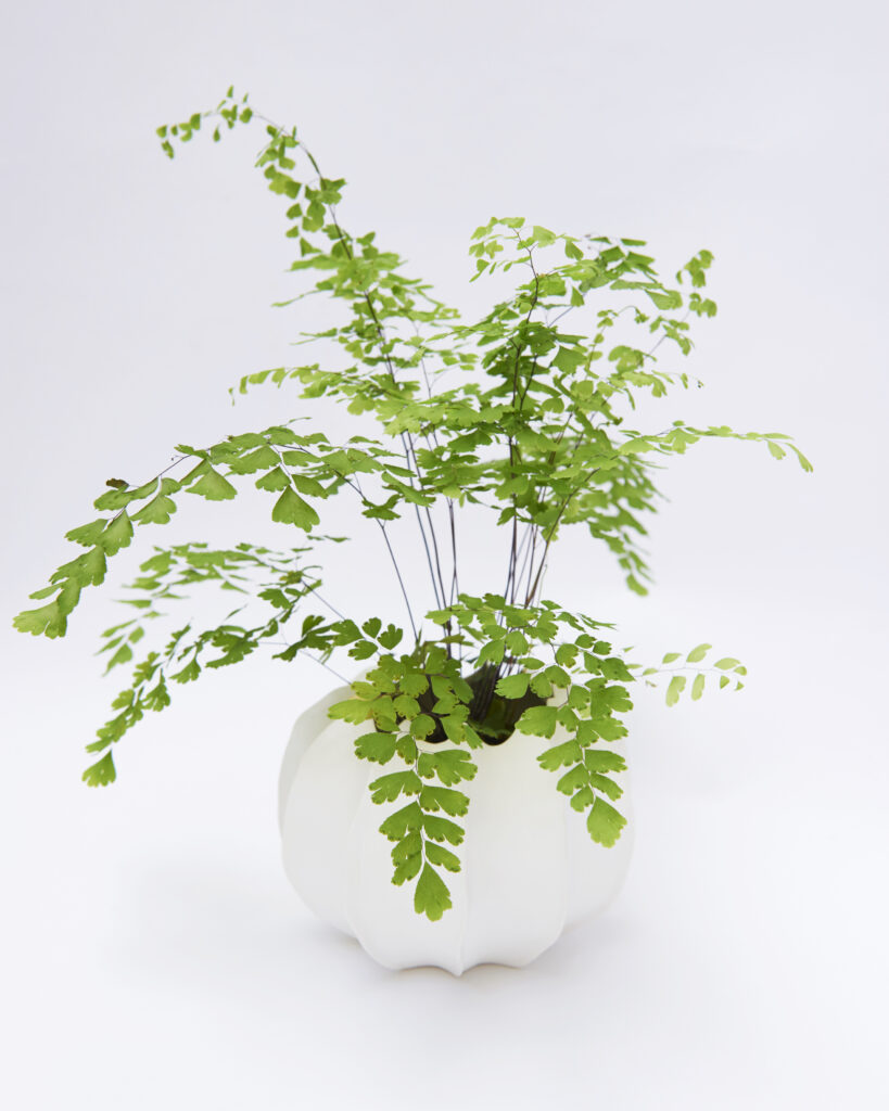 Vaya 1 vase